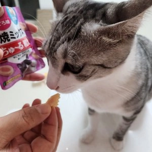 이나바 캣 야끼믹스 츄르범벅 참치&새우 25g 베스트 후기 이미지