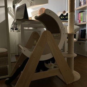 베스트 후기 이미지