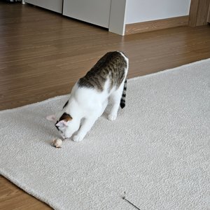 베스트 후기 이미지