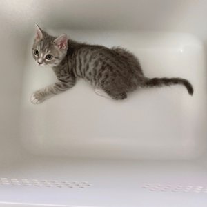베스트 후기 이미지
