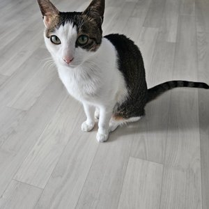 베스트 후기 이미지