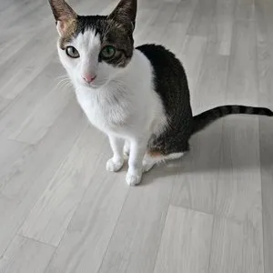 베스트 후기 이미지