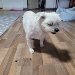베스트 후기 이미지
