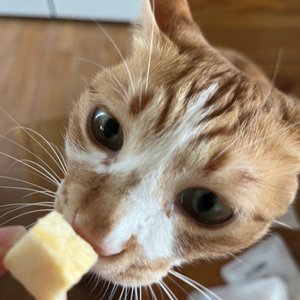 베스트 후기 이미지