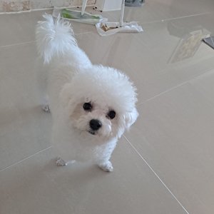 베스트 후기 이미지