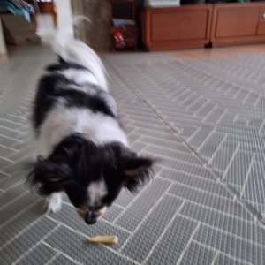 베스트 후기 이미지