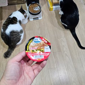 베스트 후기 이미지