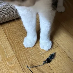 베스트 후기 이미지