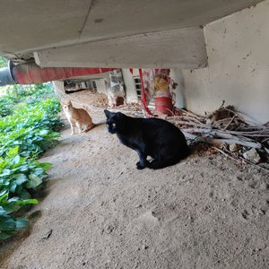 베스트 후기 이미지