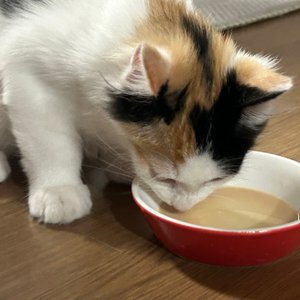 베스트 후기 이미지