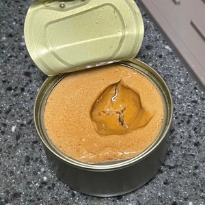 고양이 파테 타입 주식캔 12종 [모음] 베스트 후기 이미지