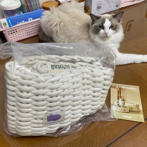 베스트 후기 이미지