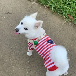 베스트 후기 이미지