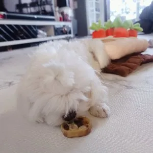 베스트 후기 이미지