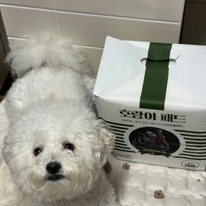 베스트 후기 이미지