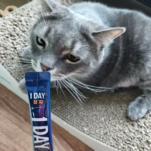 베스트 후기 이미지