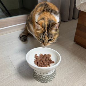 베스트 후기 이미지