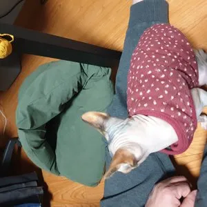 베스트 후기 이미지