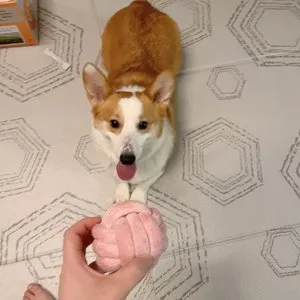 베스트 후기 이미지