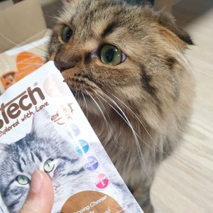 베스트 후기 이미지
