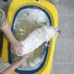 베스트 후기 이미지