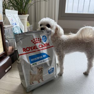 베스트 후기 이미지