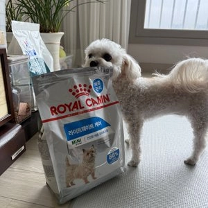 로얄캐닌 독 미니 라이트 웨이트 케어 체중조절 모음 베스트 후기 이미지