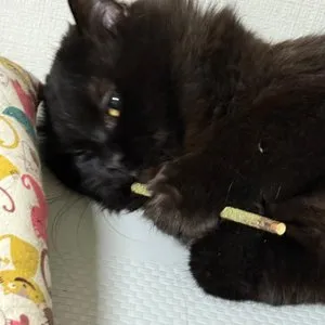 베스트 후기 이미지