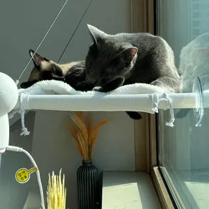 베스트 후기 이미지