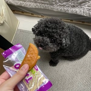 코코마켓 독 치킨&고구마타코 1P 베스트 후기 이미지