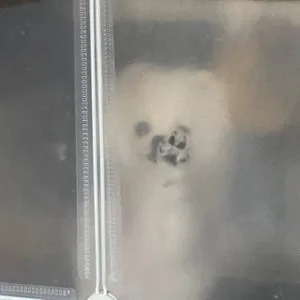 베스트 후기 이미지