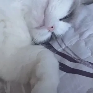 베스트 후기 이미지