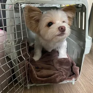 베스트 후기 이미지