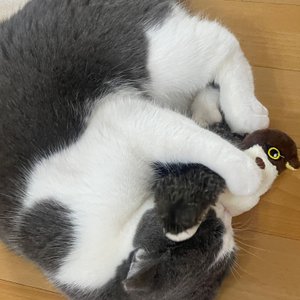 베스트 후기 이미지
