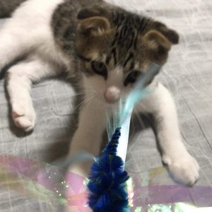 베스트 후기 이미지