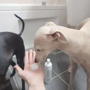 베스트 후기 이미지