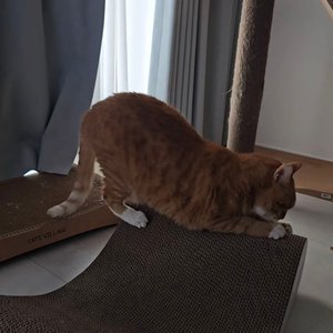 베스트 후기 이미지
