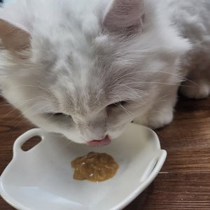 베스트 후기 이미지