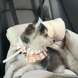 베스트 후기 이미지