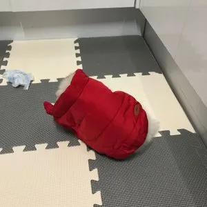 베스트 후기 이미지