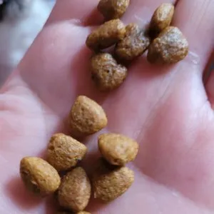 베스트 후기 이미지