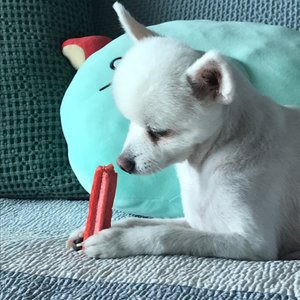 베스트 후기 이미지
