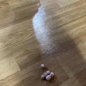 베스트 후기 이미지