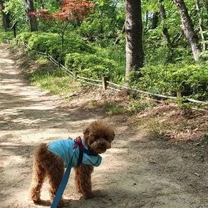 베스트 후기 이미지