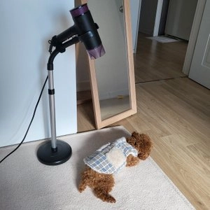 [무료배송] 레토 반려동물 드라이기 거치대 베스트 후기 이미지