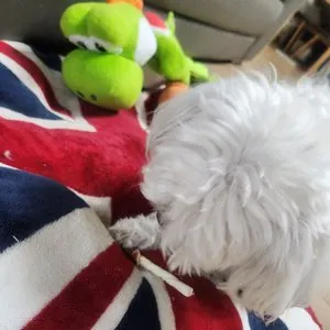 베스트 후기 이미지