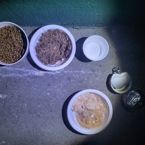 베스트 후기 이미지