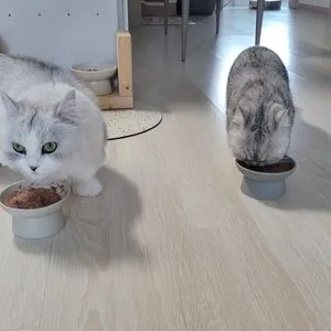 베스트 후기 이미지