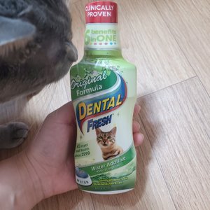 베스트 후기 이미지