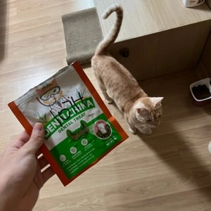 닥터페트라 캣 덴티치카 덴탈트릿 닭고기맛 70g 베스트 후기 이미지